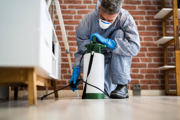 istockphoto-1296687879-612x612